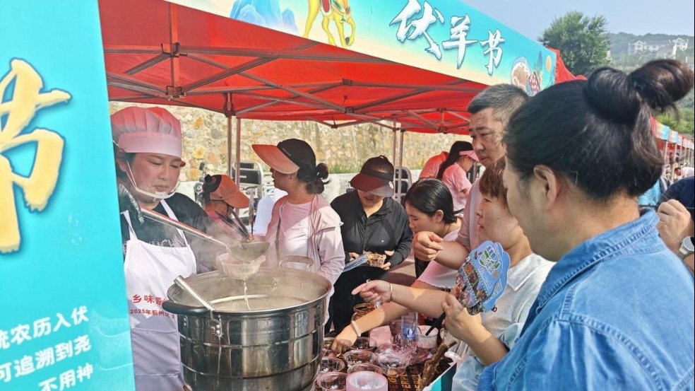 有限公司新手怎么玩