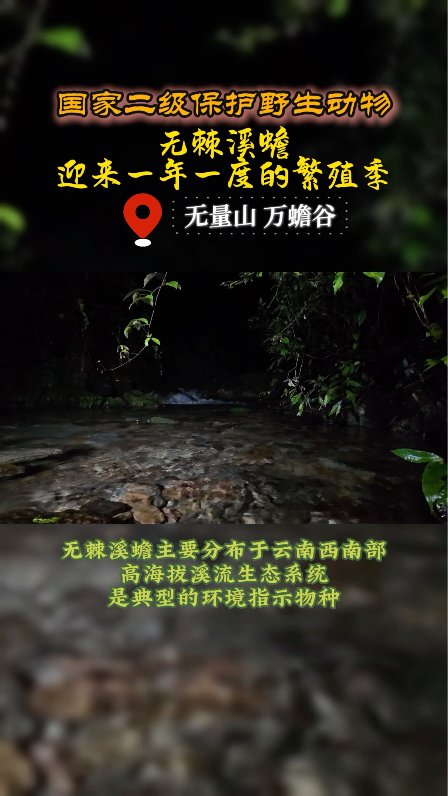 jrs低调看高清nba直播