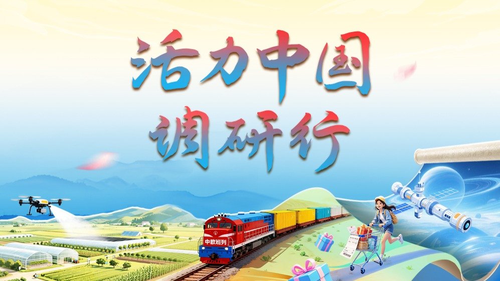 编排动作